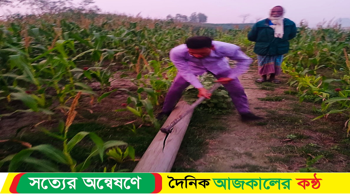 সরিষাবাড়ীতে প্লাস্টিকের পাইপ ও খননযন্ত্র ধ্বংস