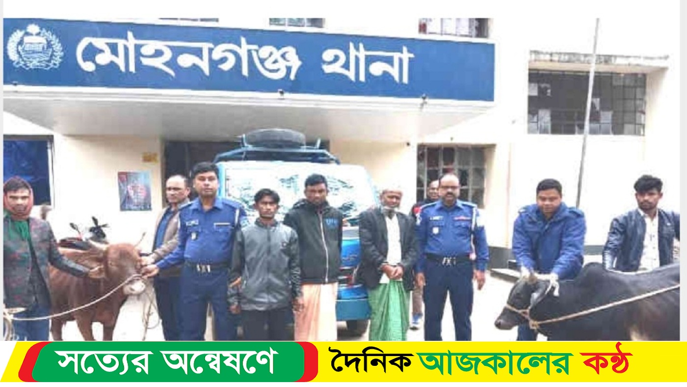 মোহনগঞ্জ থেকে গরু চুরি করে পালনোর সময় তিনজন আটক
