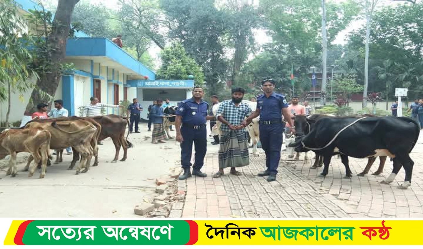 আত্রাইয়ে ১৩টি গরুসহ চো*র আ*টক