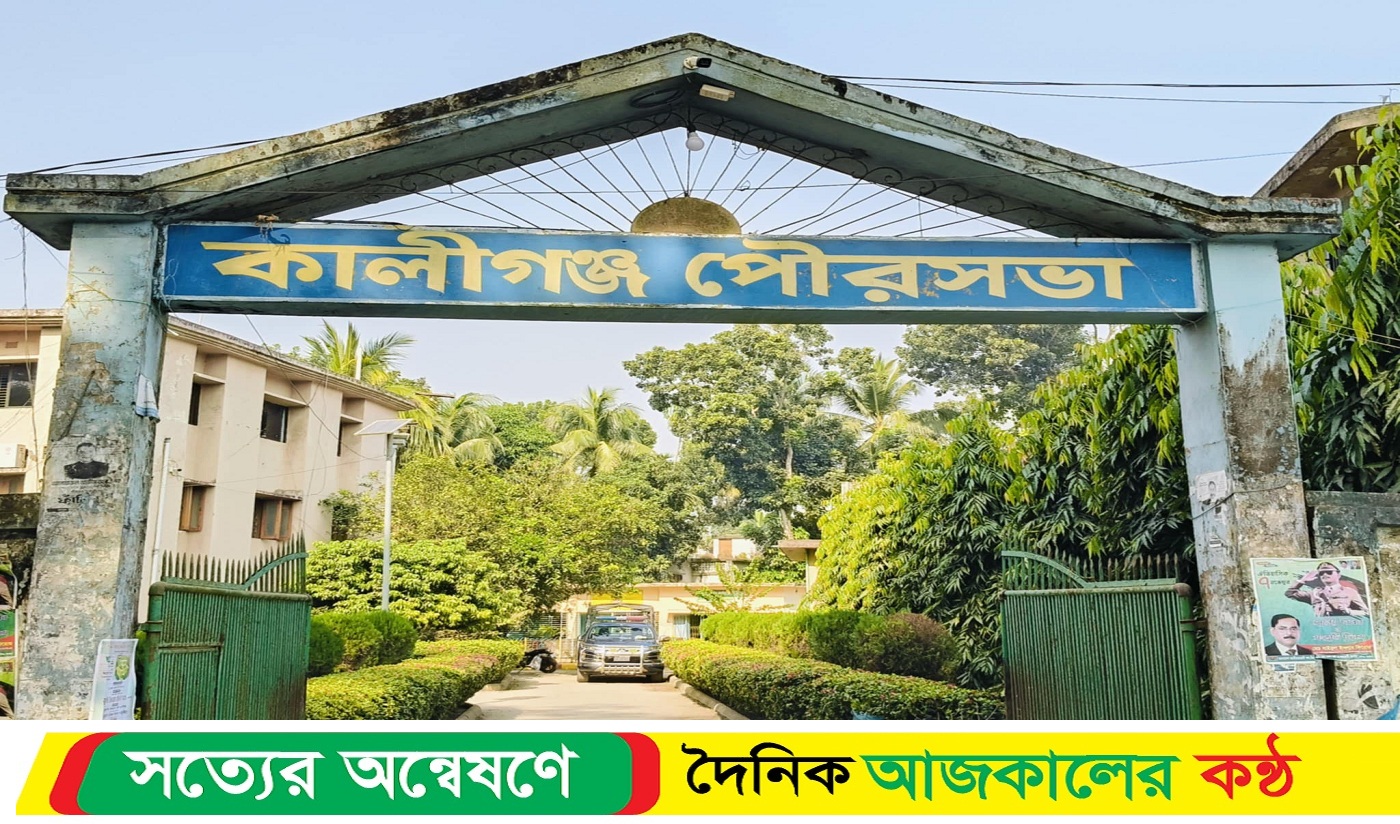 মশার কামড়ে অতিষ্ঠ কালীগঞ্জ পৌরবাসী