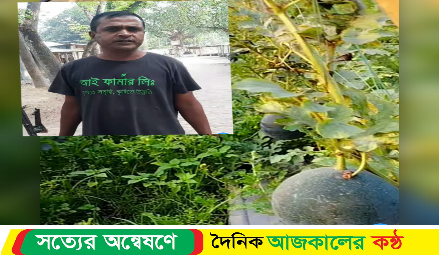 বাঘারপাড়ায় তরমুজ চাষে ভাগ্য ফেরানোর আশা ফিরোজের