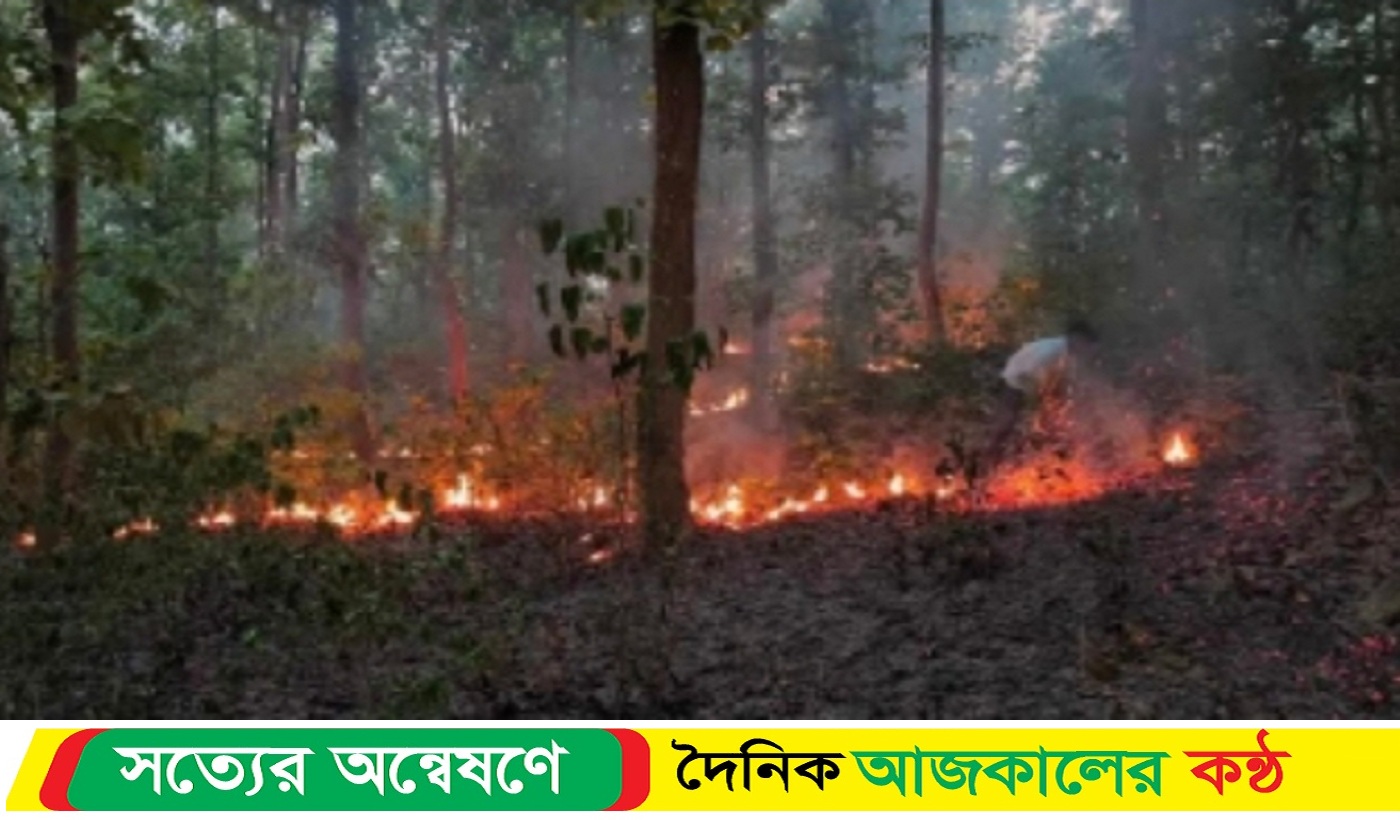 শেরপুরে গারো পাহাড়ে আগুন, হুমকিতে জীববৈচিত্র্য