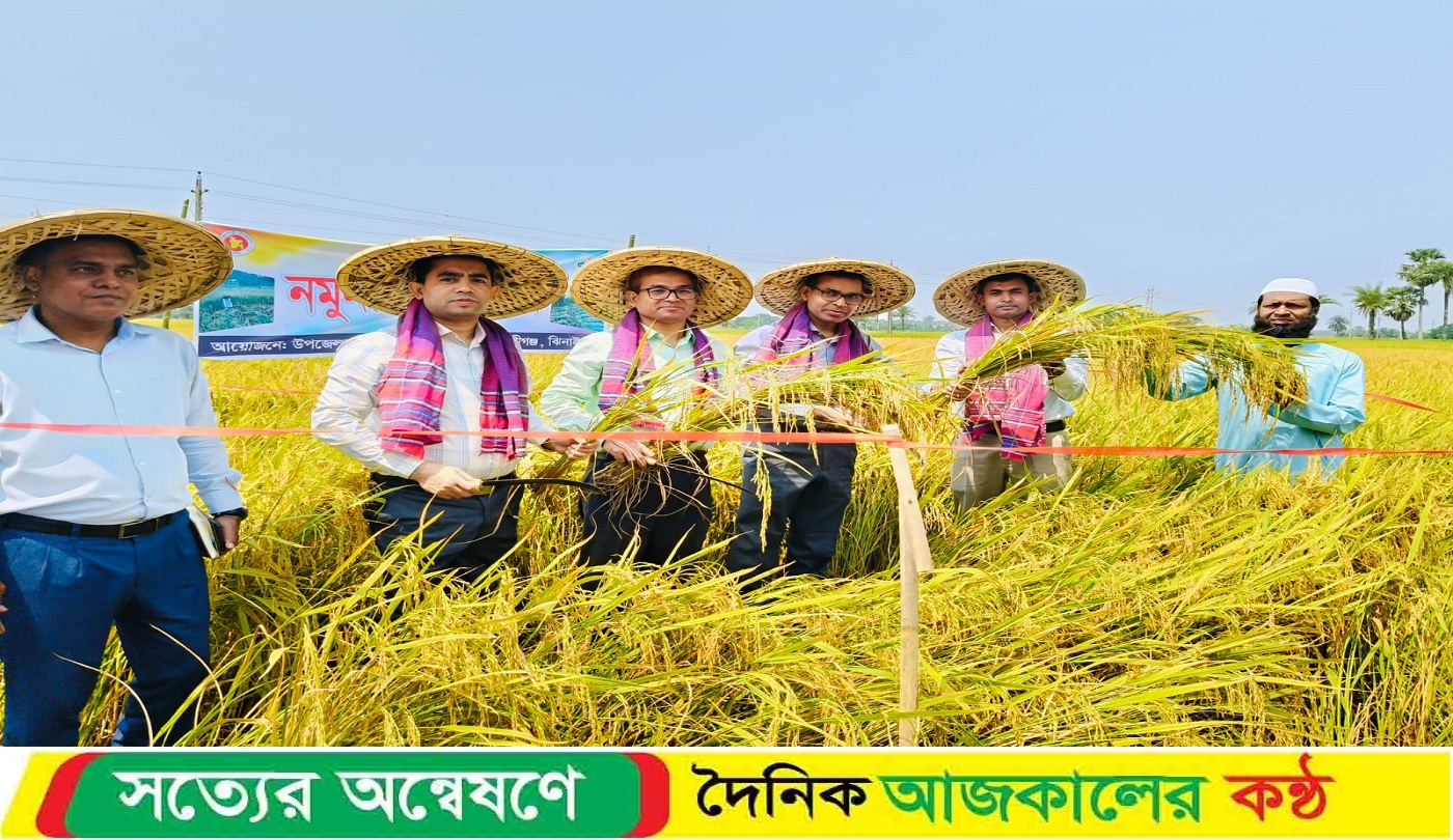 কালীগঞ্জে কম্বাইন্ড হারভেস্টার মেশিনে ধান কাটার উদ্বোধন করেন জেলা প্রশাসক