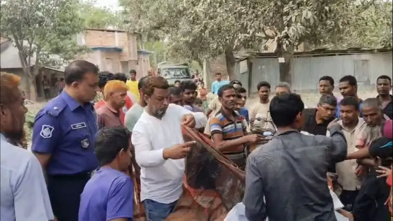 নওগাঁয় বিরোধপূর্ণ জমির গাছ কাটা নিয়ে দু’পক্ষের সংঘর্ষে ২ জন নি*হত