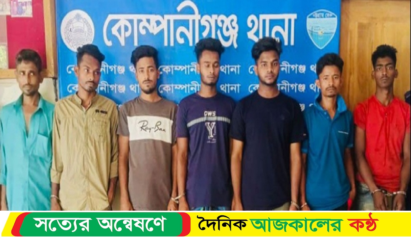 কোম্পানীগঞ্জ উপজেলায় বিভিন্ন স্থানে অভিযান চালিয়ে ৭ জনকে গ্রে*ফতার করেছে পুলিশ