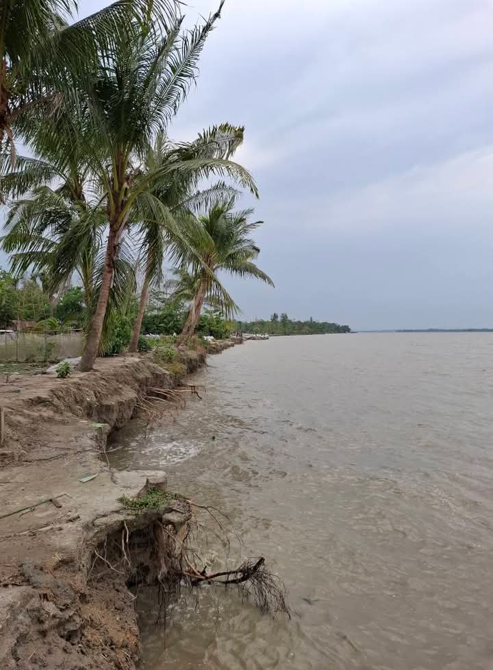 ছোট ফেনী নদীর ভাঙনে বিলীন হচ্ছে কোম্পানীগঞ্জ ও সোনাগাজী