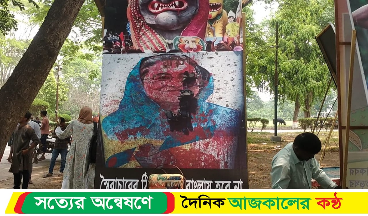 নববর্ষে ভিন্ন রূপে শেখ হাসিনা!