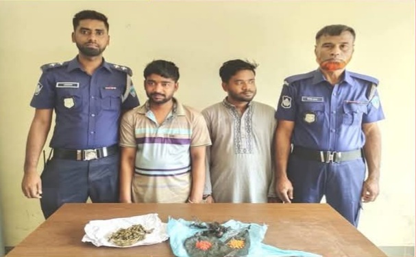 ফুলগাজীতে যৌথবাহিনীর অভিযান ইয়াবা ও গাঁজাসহ ২ জন আটক