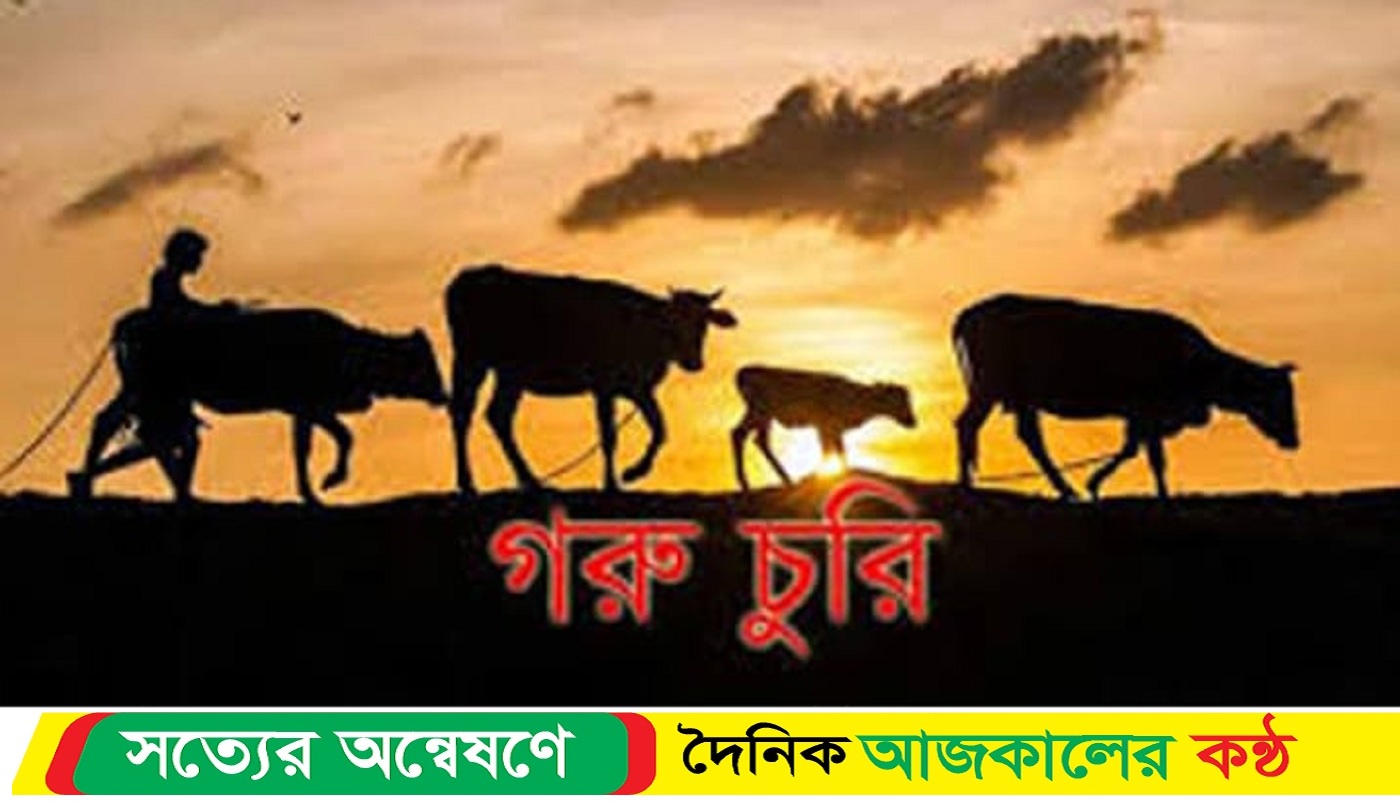 জিয়ানগরে একই রাতে একই এলাকার তিন বাড়িতে গরু চুরি : জনমনে আতঙ্ক