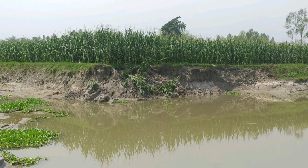 ফসলি জমির মাটি কেটে পুকুর খনন : নীরব প্রসাশন