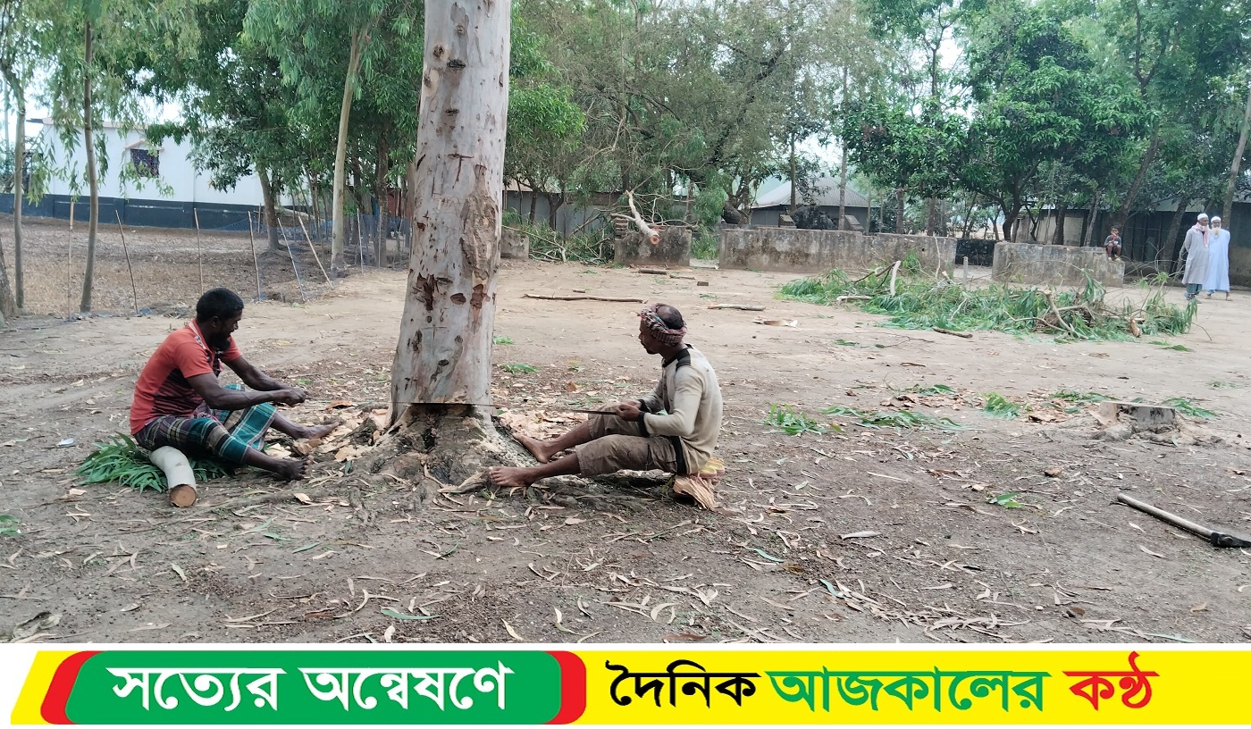 সৈয়দপুরে ইউপি সদস্যের বিরুদ্ধে গায়ের জোরে ঈদগাহের গাছ কাটার অভিযোগ