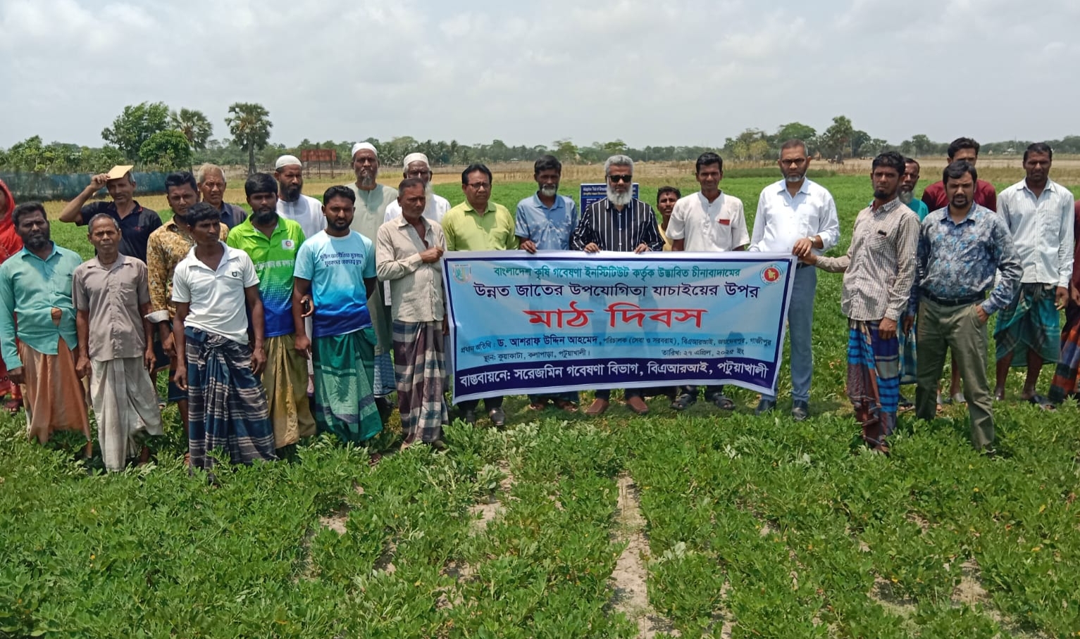 কুয়াকাটায় উন্নত জাতের চিনাবাদামের উপযোগিতা যাচাই : কৃষক মাঠ দিবস পালিত