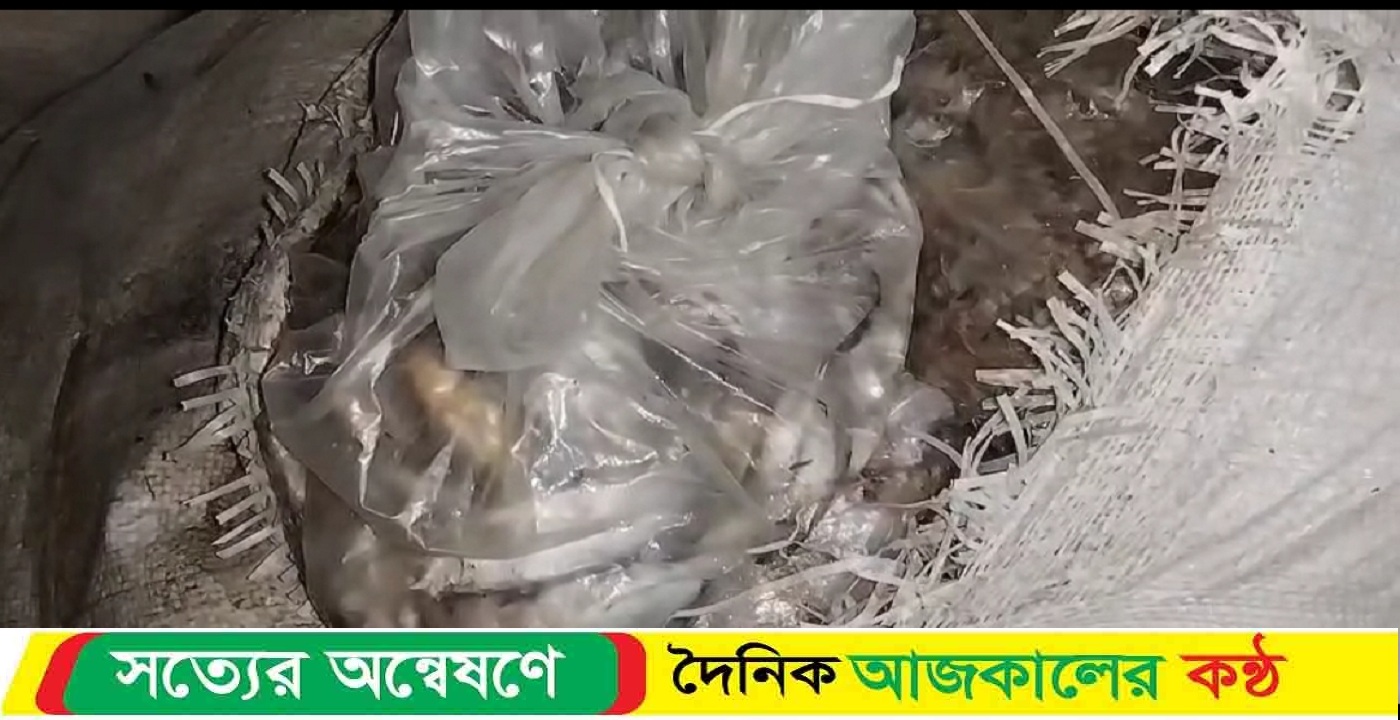 কলাপাড়ায় যাত্রীবাহী বাস থেকে ৩০ মন সামুদ্রিক মাছ জব্দ