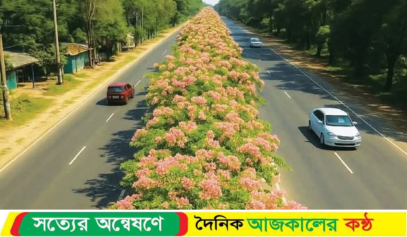 ঢাকা-চট্টগ্রাম মহাসড়কে ফুলের বাহারে বিমোহিত যাত্রীরা