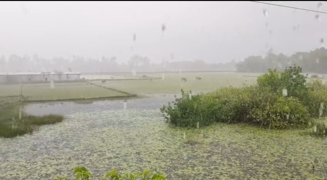 বঙ্গোপসাগরে গভীর সঞ্চালনশীল মেঘমালা, পায়রা বন্দরে ৩ নম্বর সতর্ক সংকেত