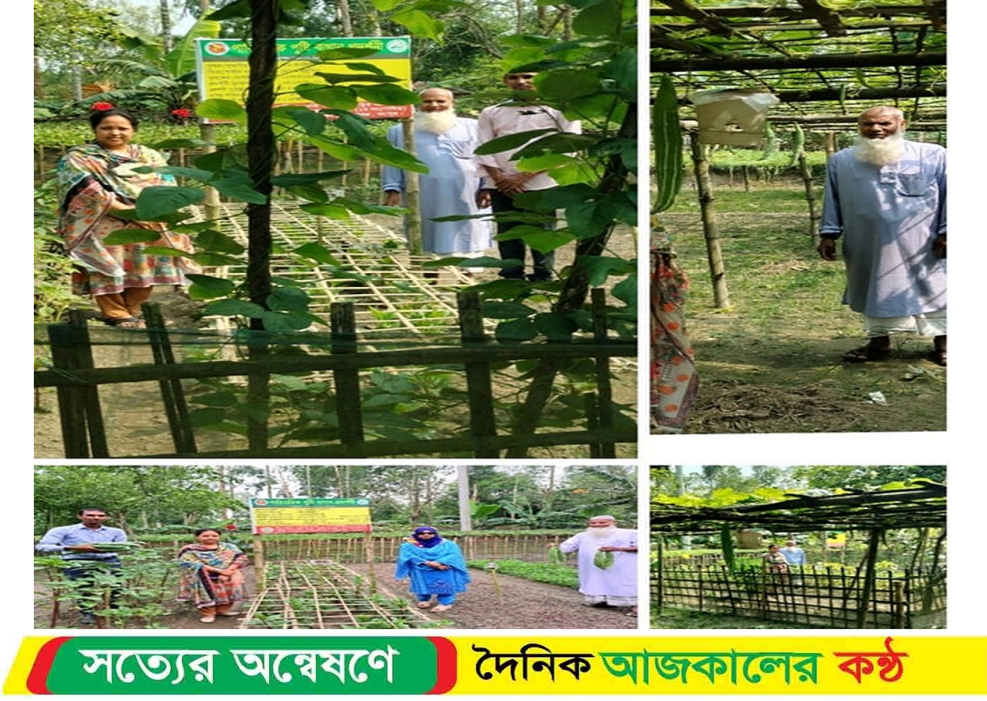 তারাগঞ্জের গোমস্তা পাড়ায় পুষ্টি সমৃদ্ধ গ্রামের গল্প