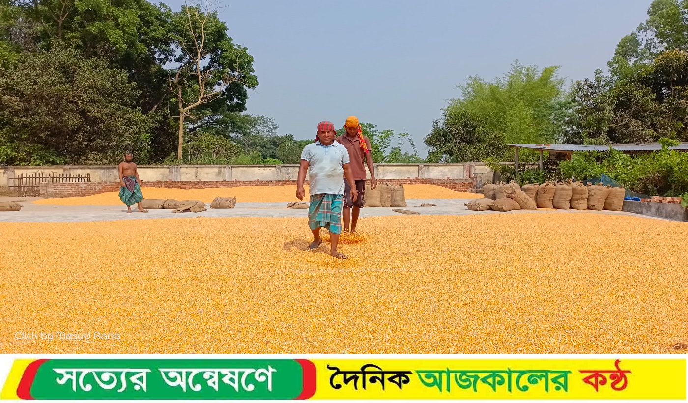 দিনাজপুরে তাপপ্রবাহে বিপর্যস্ত জনজীবন