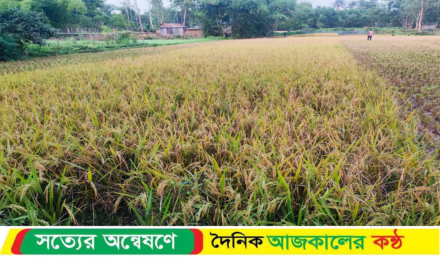 দলিল বাতিল চেয়ে মা’মলা