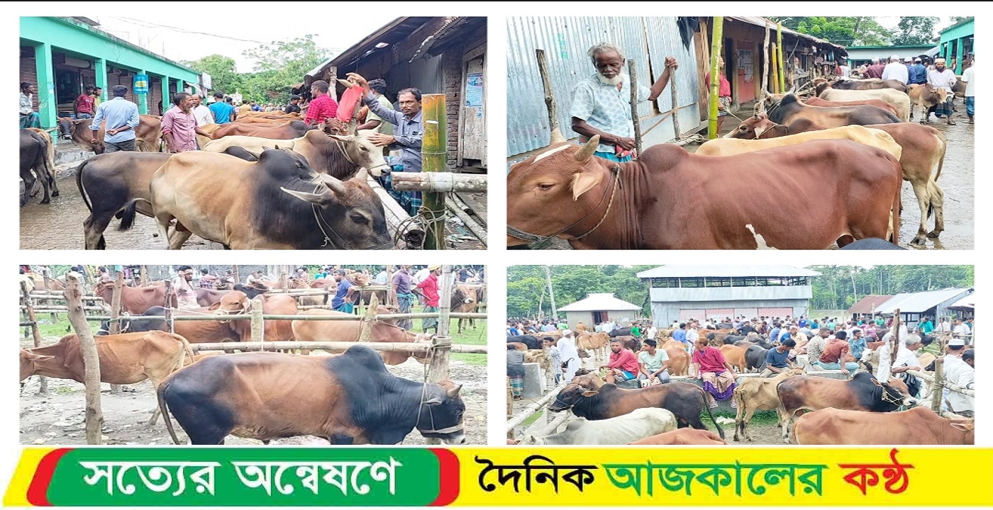 বৈরী আবহাওয়া উপেক্ষা করে জমে উঠেছে বরিশালের বৃহত্তম পশুর হাট