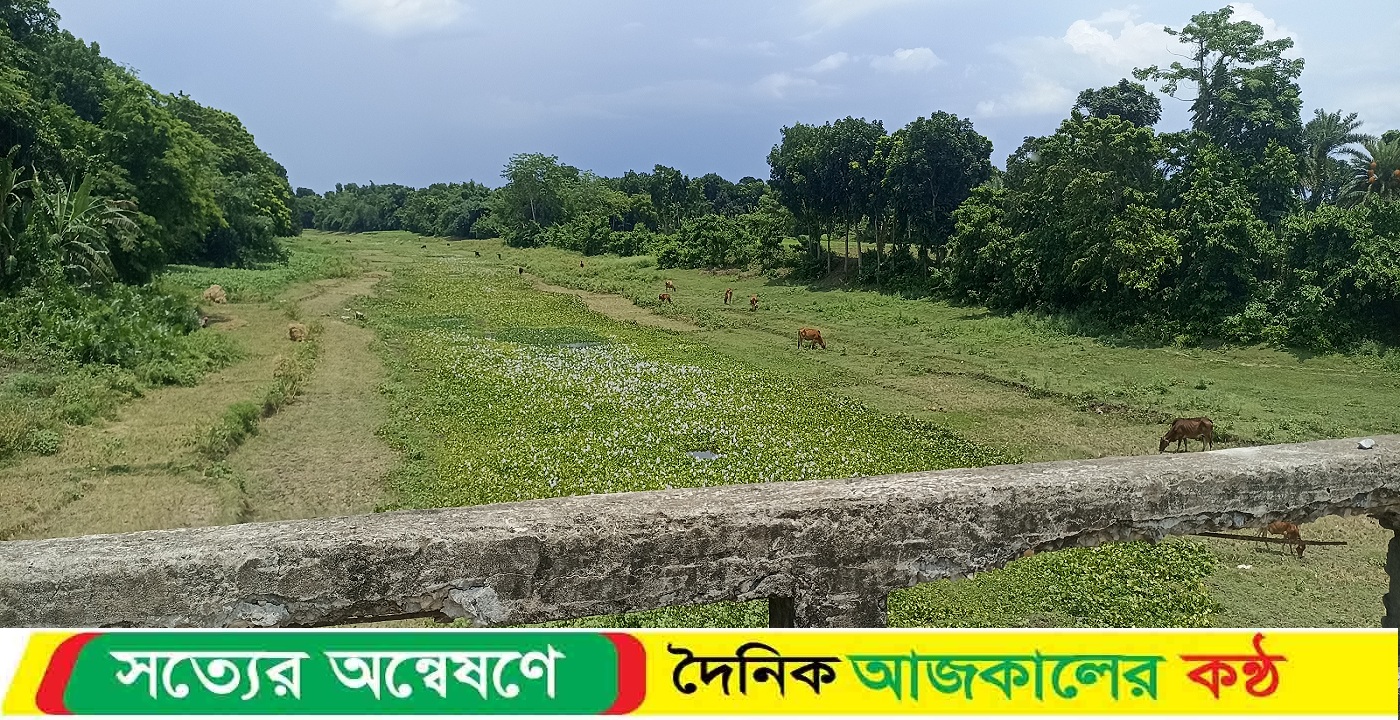 সঠিক পরিকল্পনার অভাবে কুমার,চিত্রা সহ বড় নদীগুলো দিনে দিনে চারণ ভূমিতে পরিণত হচ্ছে