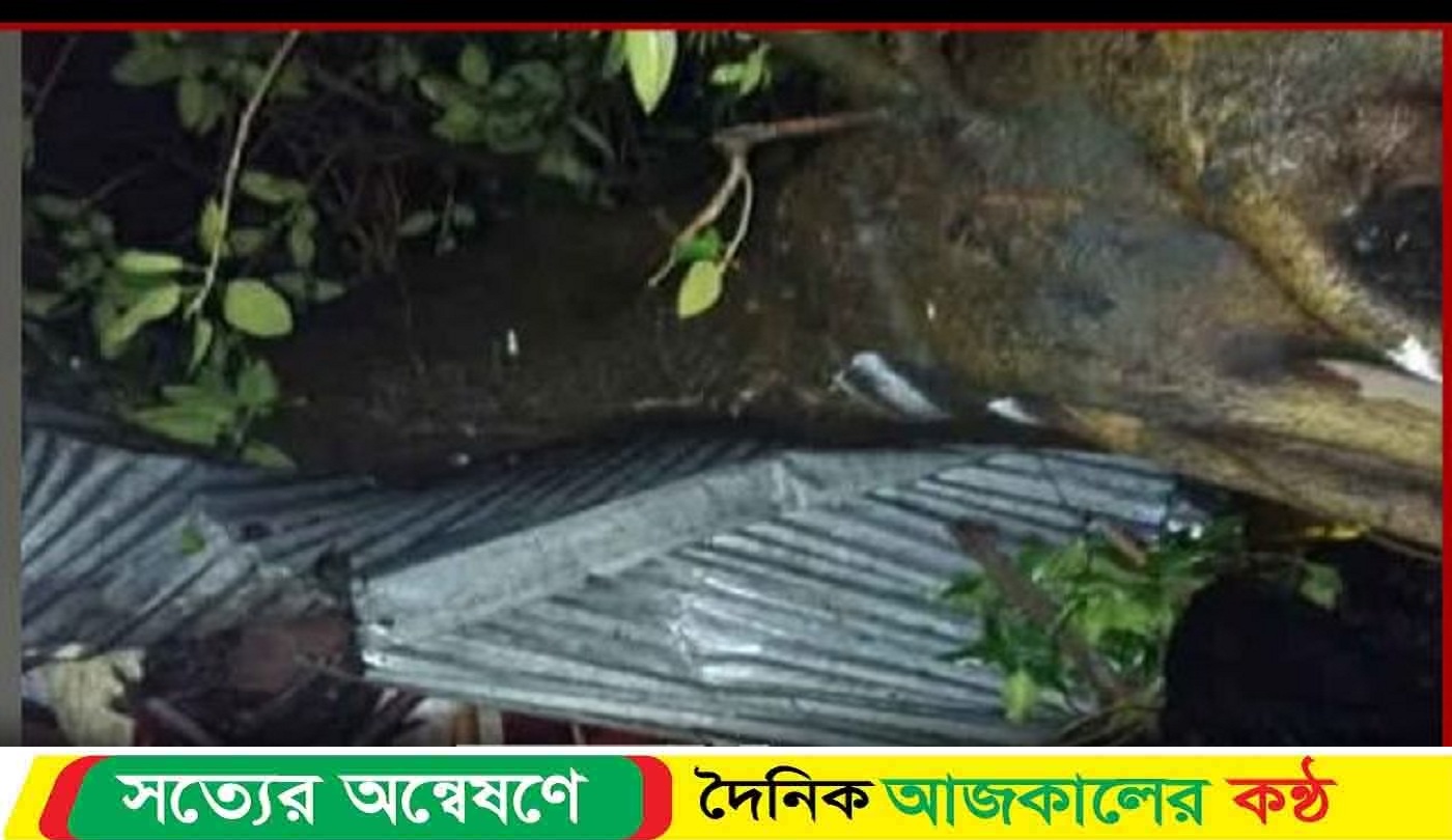 কালবৈশাখী ঝড়ে স্ত্রী নি’হত, বেঁচে গেছেন স্বামী