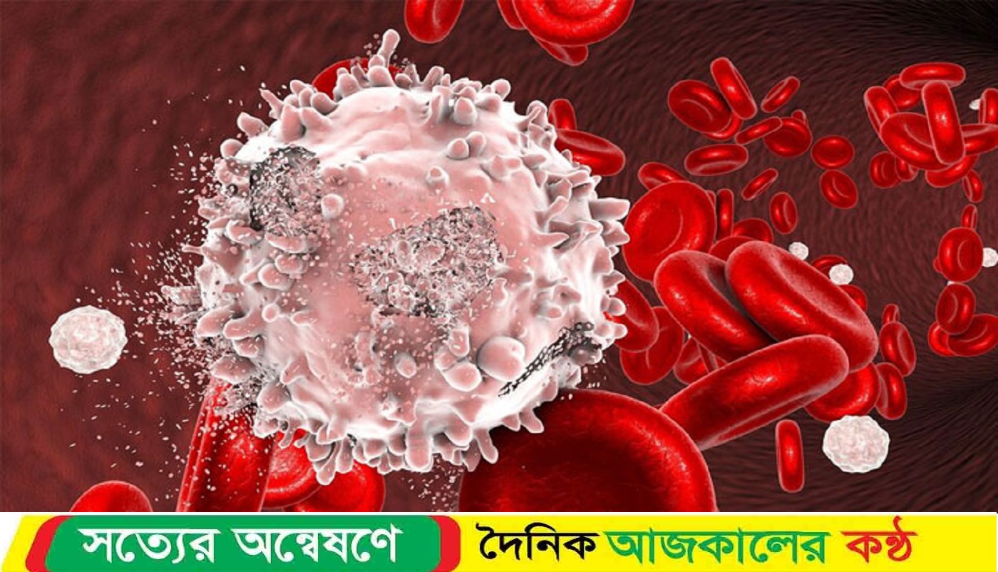 ২৮ মে বিশ্ব ব্লাড ক্যানসার দিবস ২০২৫ : ব্লাড ক্যান্সার মানেই মরণব্যাধি নয় রোধ করতে প্রয়োজন সঠিক রোগ নির্ণয়