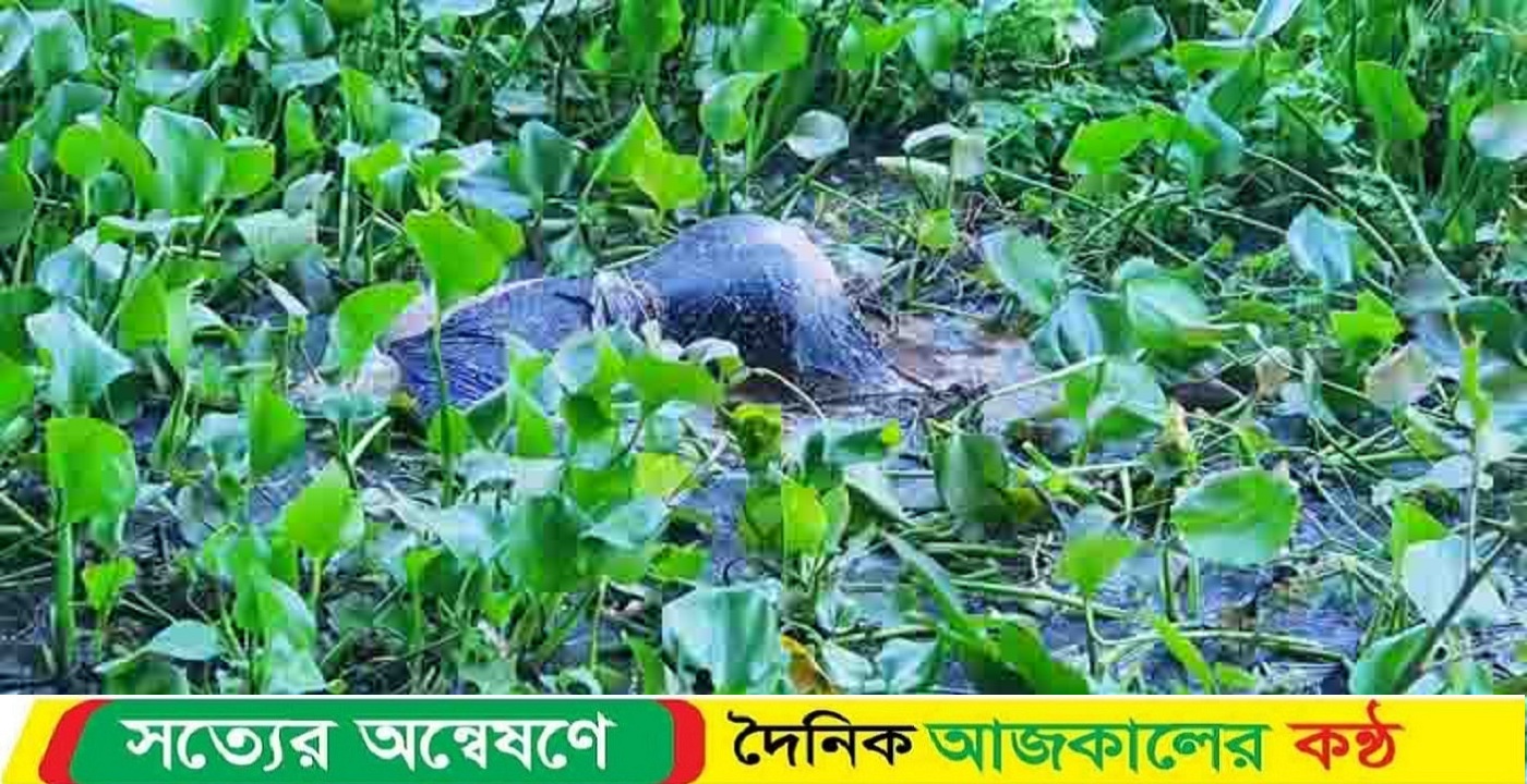 শরীয়তপুরের সখিপুরে ডোবা থেকে তরুণীর মরদেহ উদ্ধার