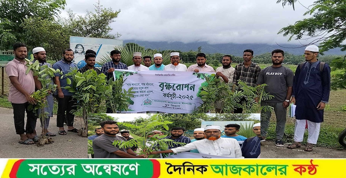 জামায়াতে ইসলামী যুব বিভাগের উদ্যোগে আলীকদমে বৃক্ষরোপন কর্মসূচি পালিত