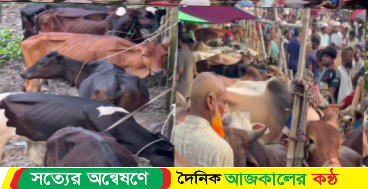 বাঘারপাড়ায় ( পশু হাটে) স্থাপন করা হয়েছে ওয়েট স্কেল “
