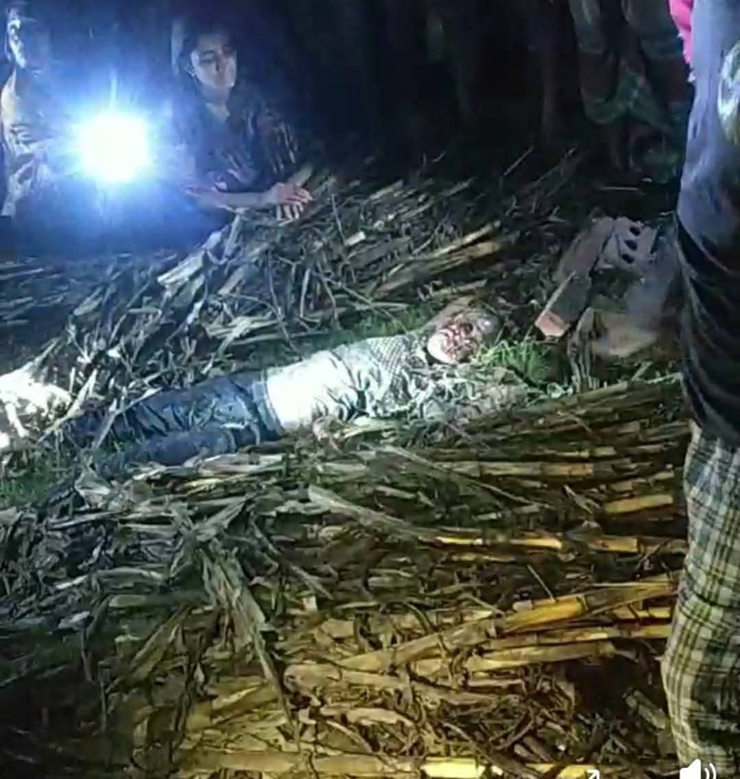 জুইয়ের পর এবার আবির! বড়াইগ্রামে শিশুহত্যায় কাঁপছে জনপদ