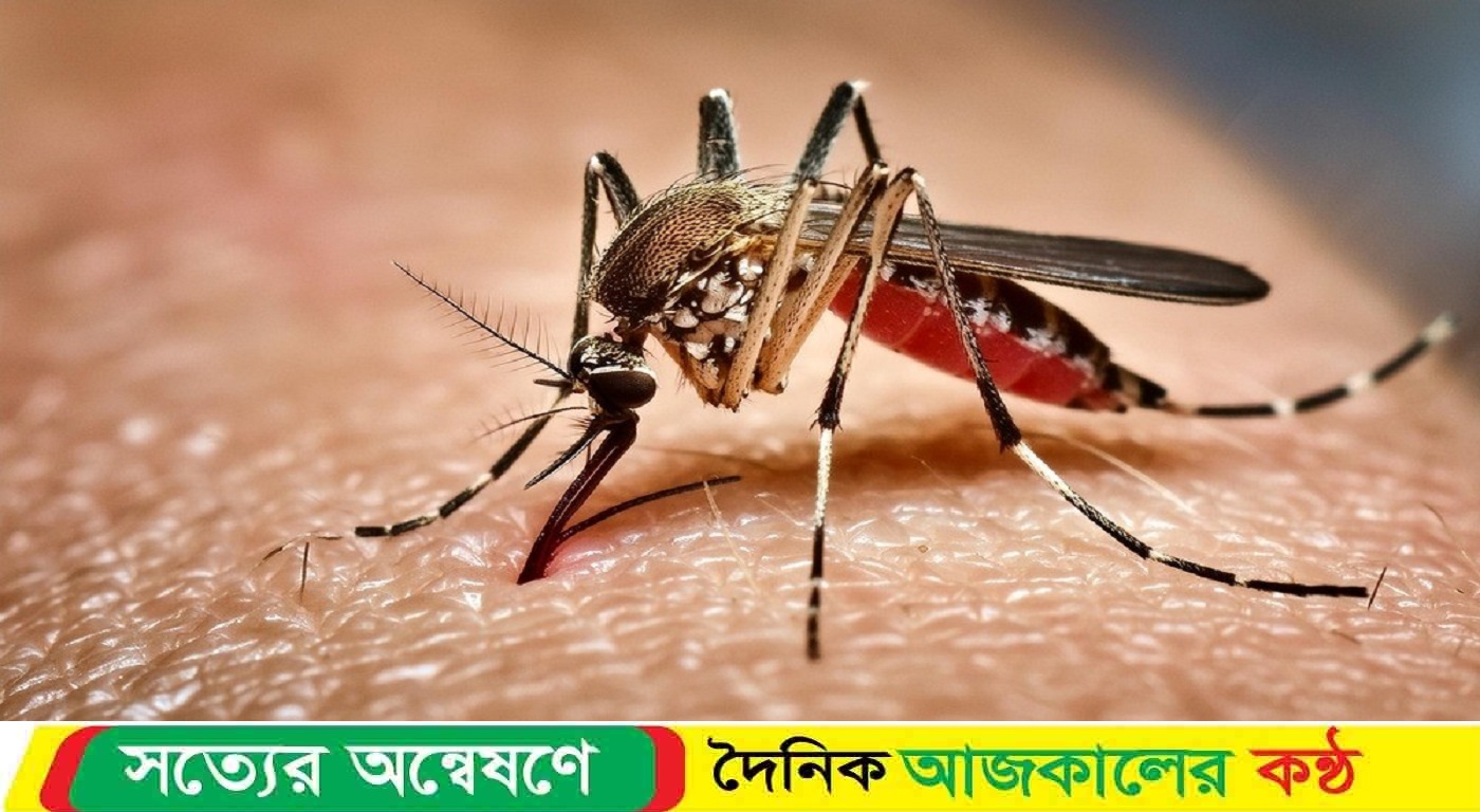 ডেঙ্গুতে হাসপাতালে ভর্তি ১৫৯, মৃত্যু আরও পাঁচজনের