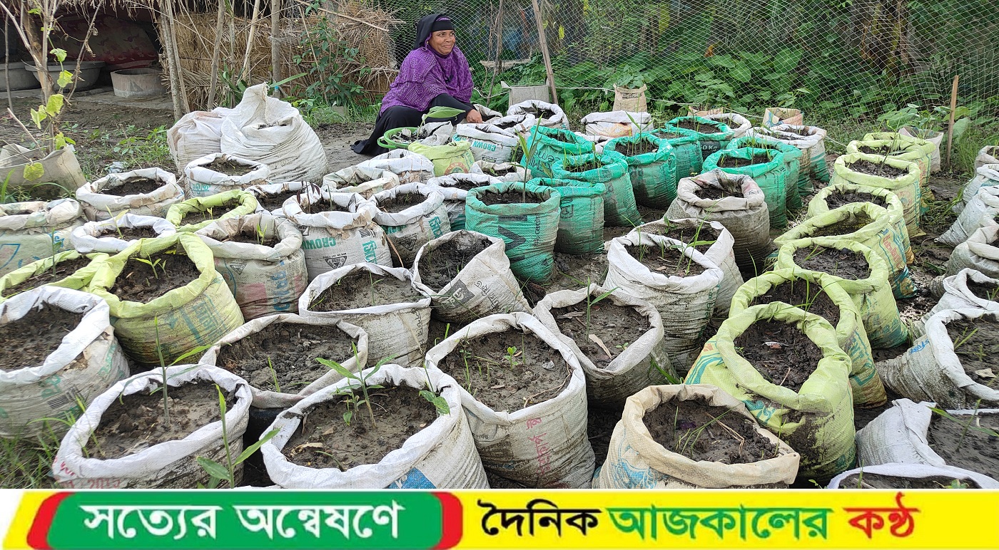 মহিপুরে প্রান্তিক মানুষের ভাগ্য বদলে দিচ্ছে পরিবেশবান্ধব উদ্যোক্তা প্রকল্প