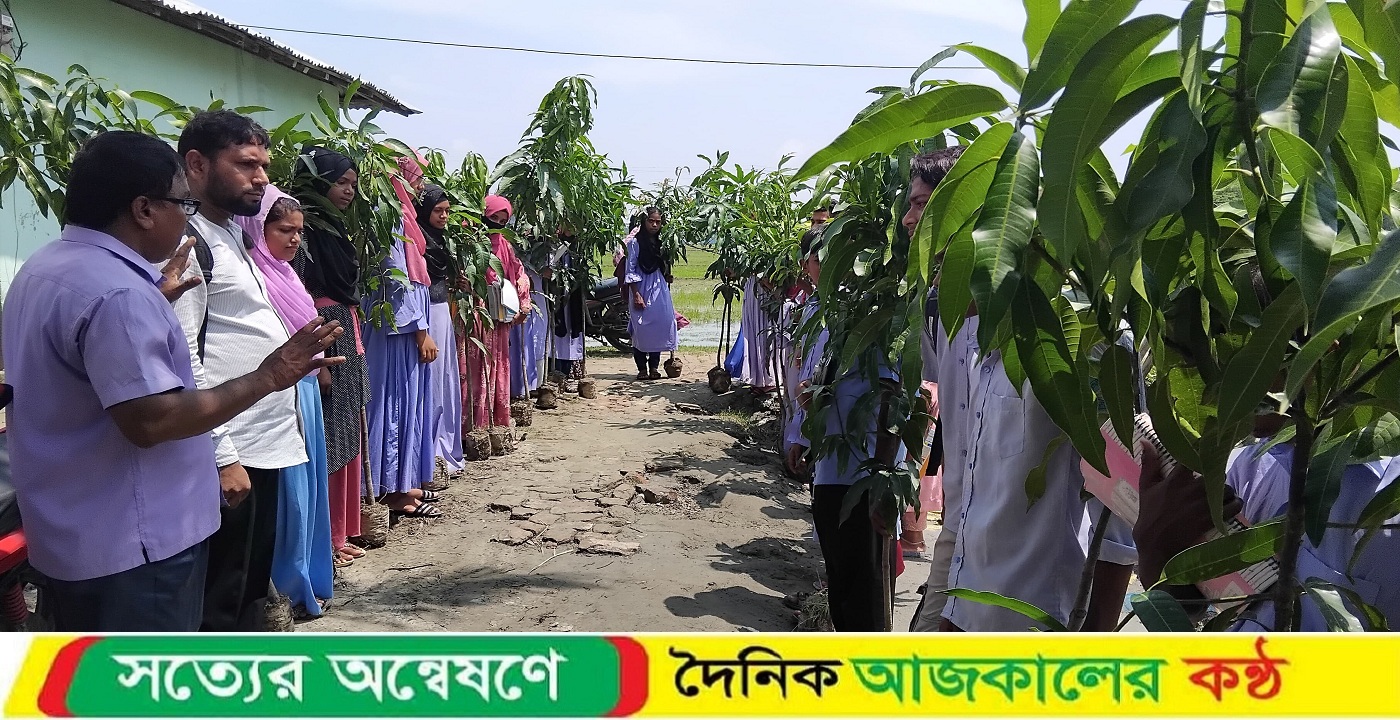আলীপুরে বিশ্ব পরিবেশ দিবস পালন: সচেতনতামূলক র‍্যালি ও ফলজ চারা বিতরণ