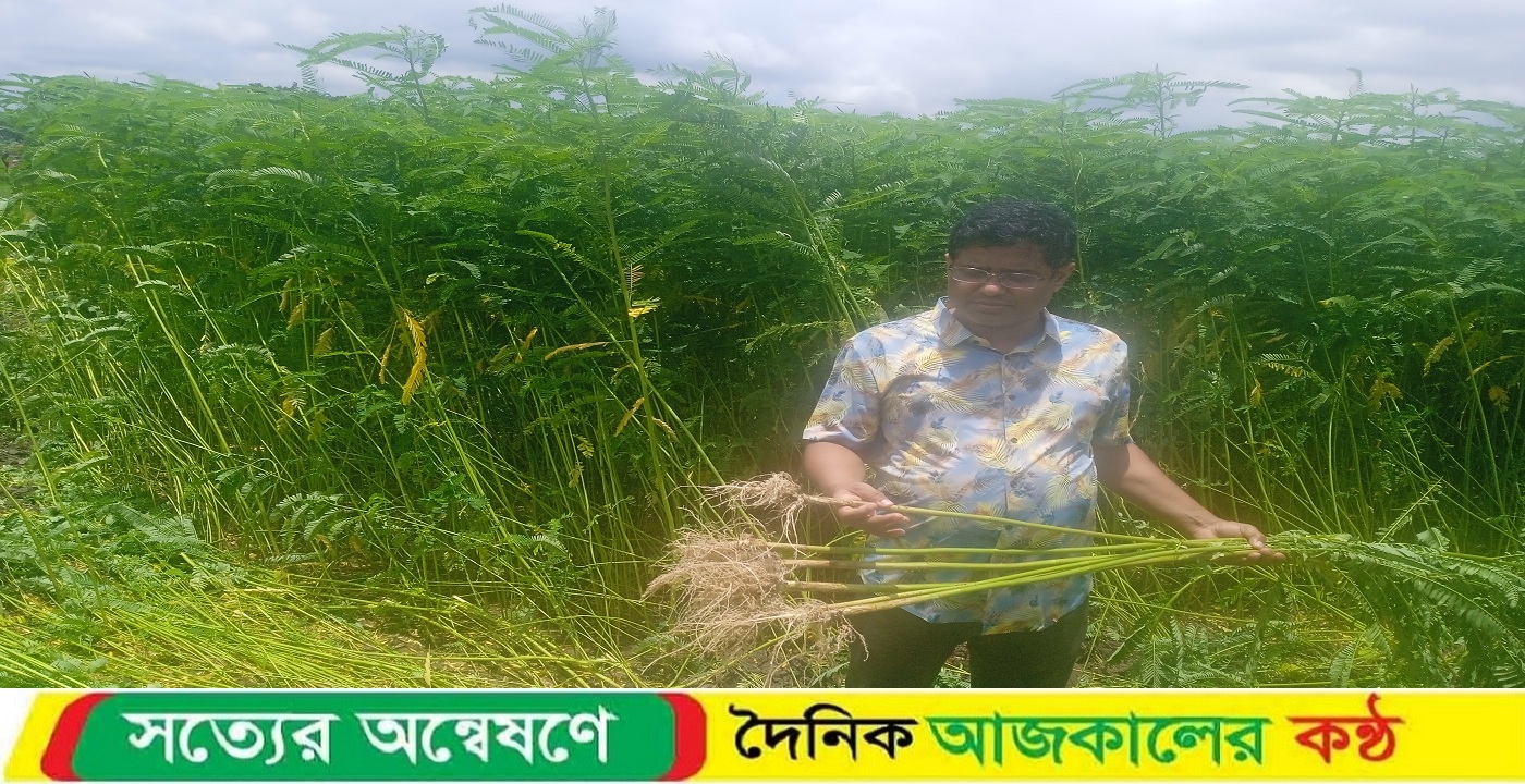 ডোমার বিএডিসি খামারে ধইঞ্চা মাড়াই এর পাশাপাশি চলছে আউশ ধান বীজ রোপনের প্রস্তুতি