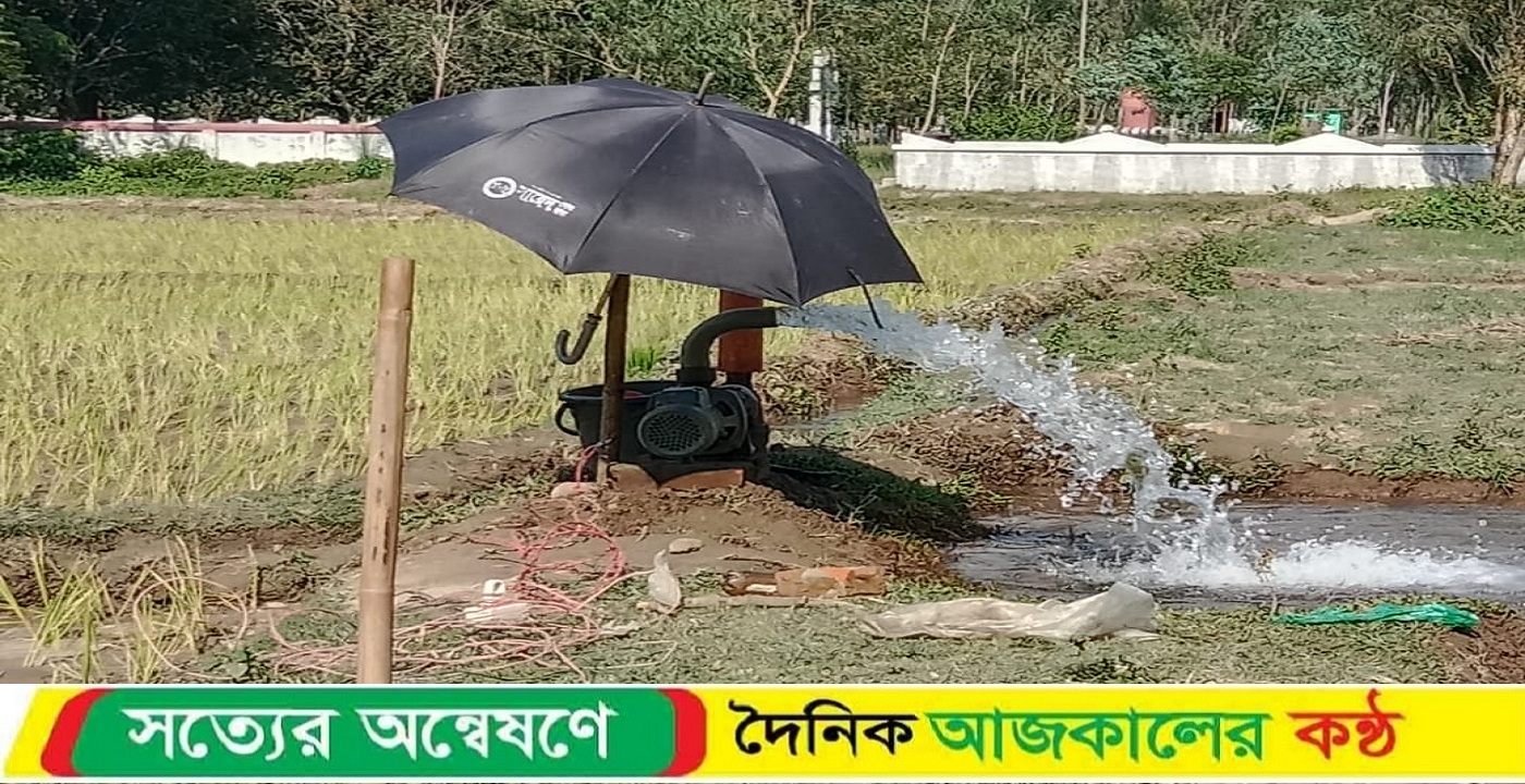 ডোমারে প্রচন্ড তাপদহে রোপা আমন বপন হুমকির মুখে