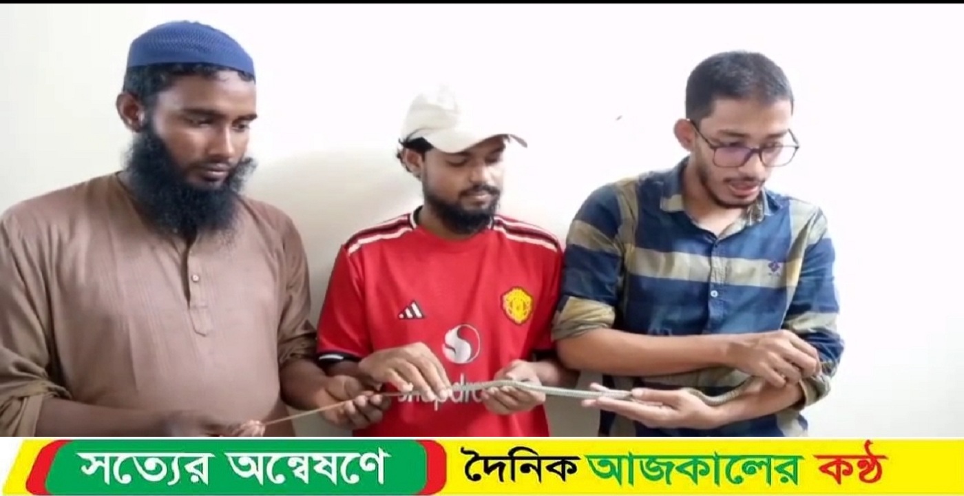 কলাপাড়ায় আহত সাপের এক্স-রে করে নজির গড়লো প্রাণীপ্রেমীরা