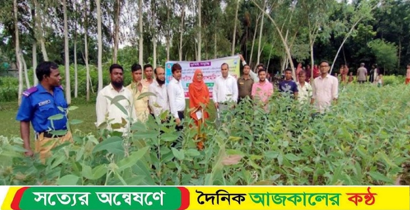 রাণীনগরে ইউক্যালিপটাস-আকাশমনি চারা ধ্বংস