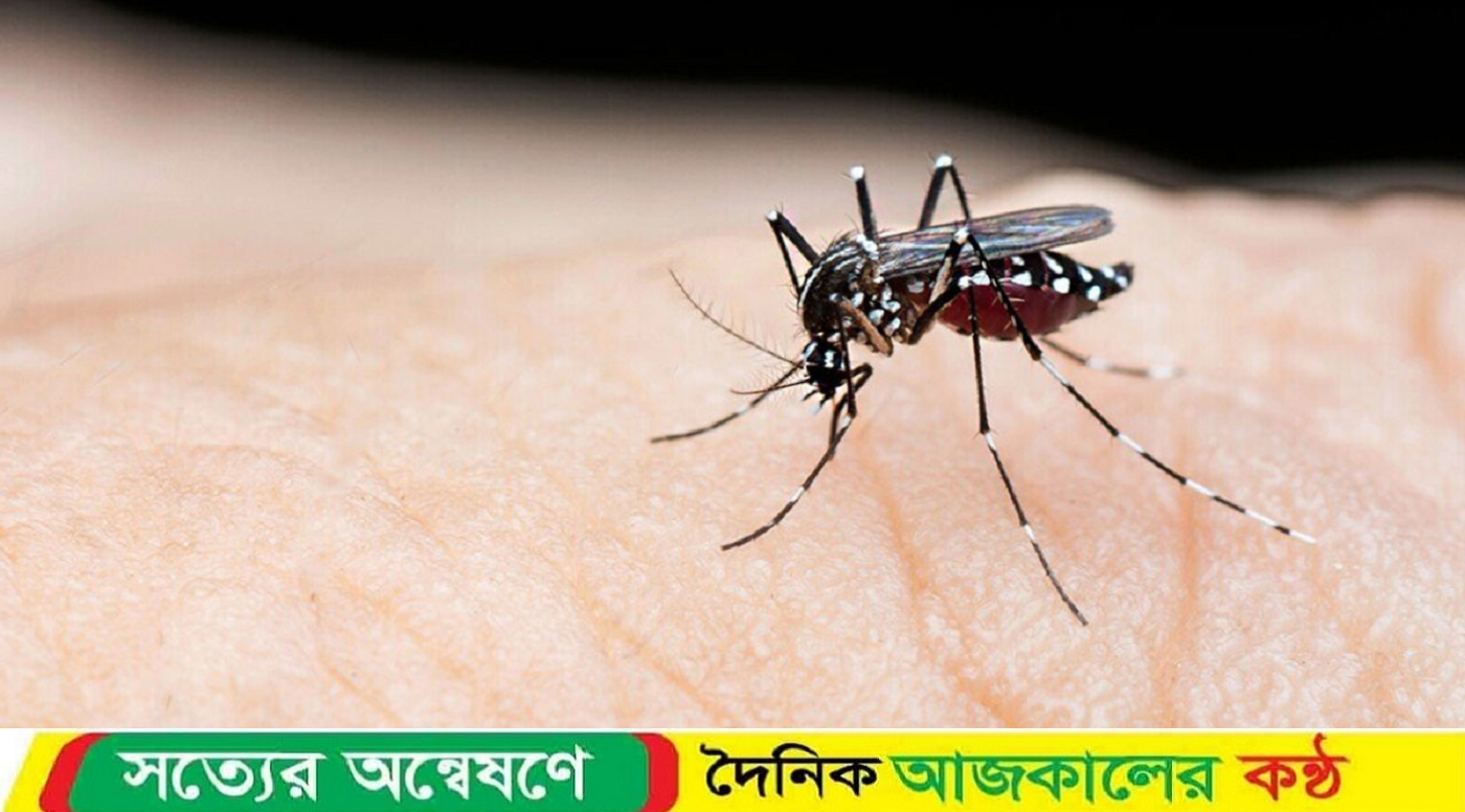 গত ২৪ ঘণ্টায় ডেঙ্গুতে আক্রান্ত ৩১৭