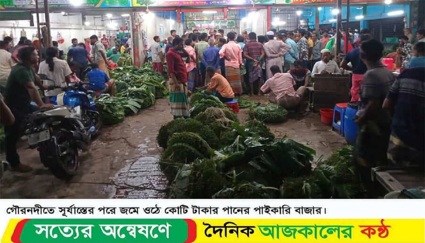 গৌরনদীতে সূর্যাস্তের পরে জমে ওঠে কোটি টাকার পানের পাইকারি বাজার