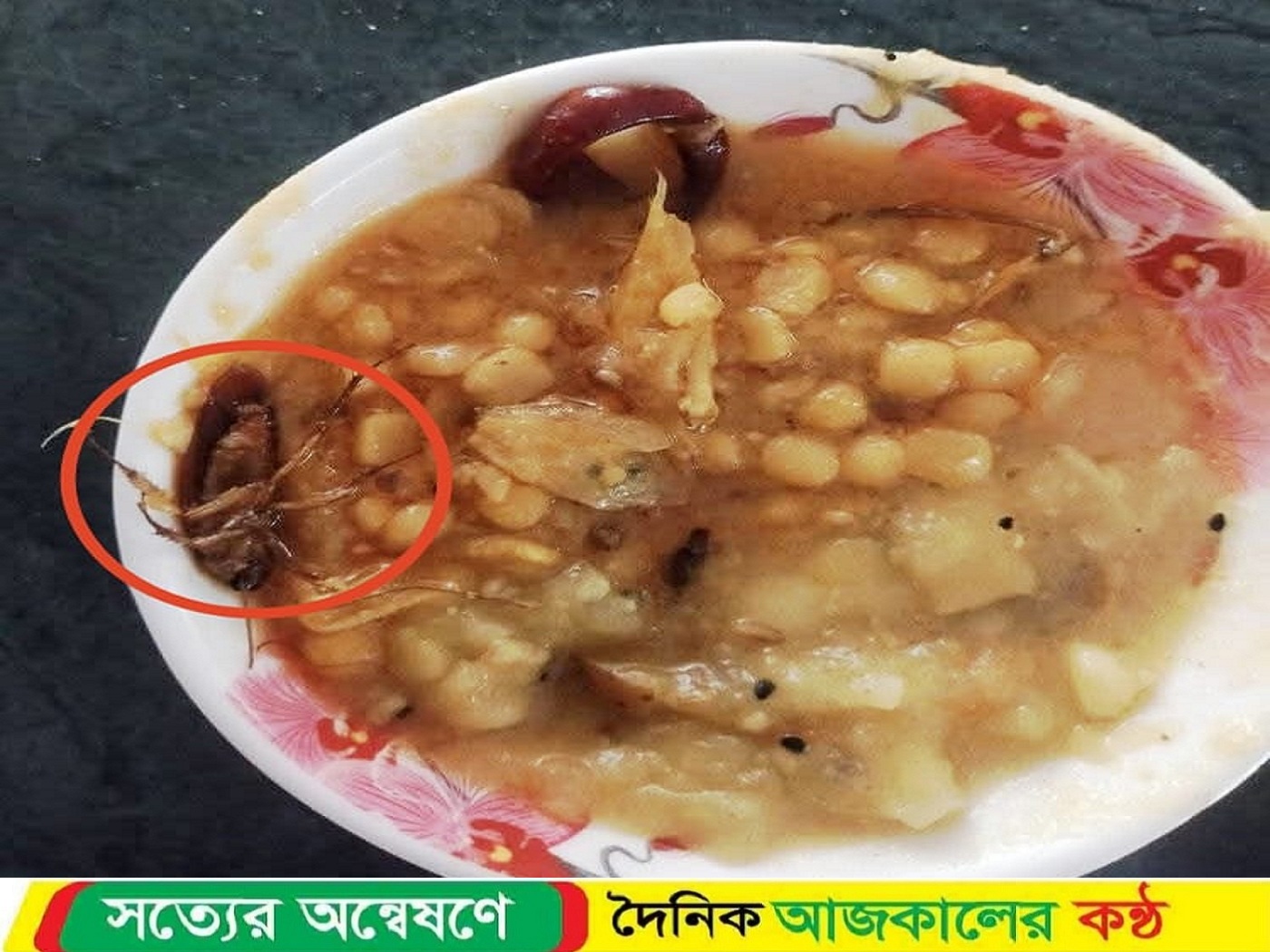 খোলস পাল্টালেও বদলায়নি গুণমান; কুবির ক্যাফেটেরিয়ার খাবারে তেলাপোকা!