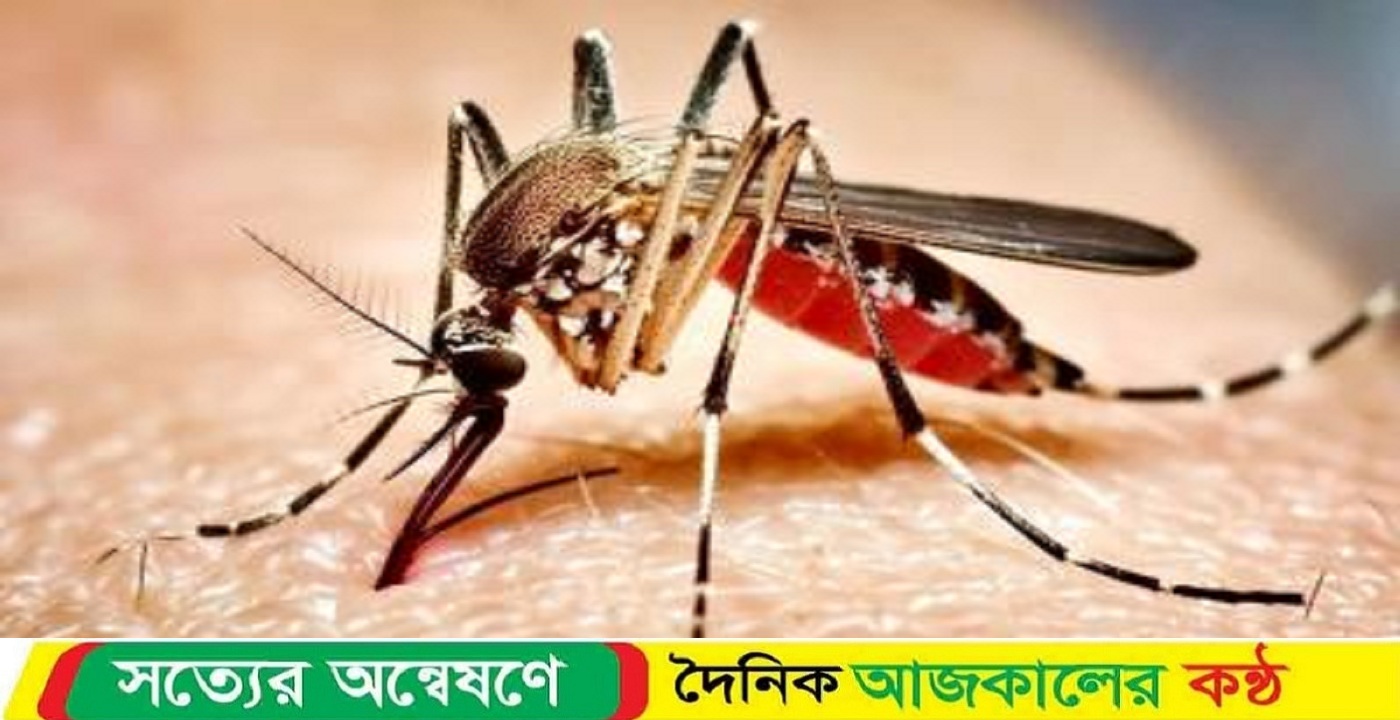 আরও ডেঙ্গুতে ২ জনের মৃত্যু