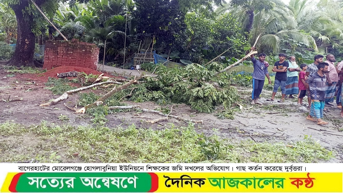 বাগেরহাটে মাদ্রাসা শিক্ষকের জমি দখল চেষ্টা, গাছ কর্তন করে হামলা