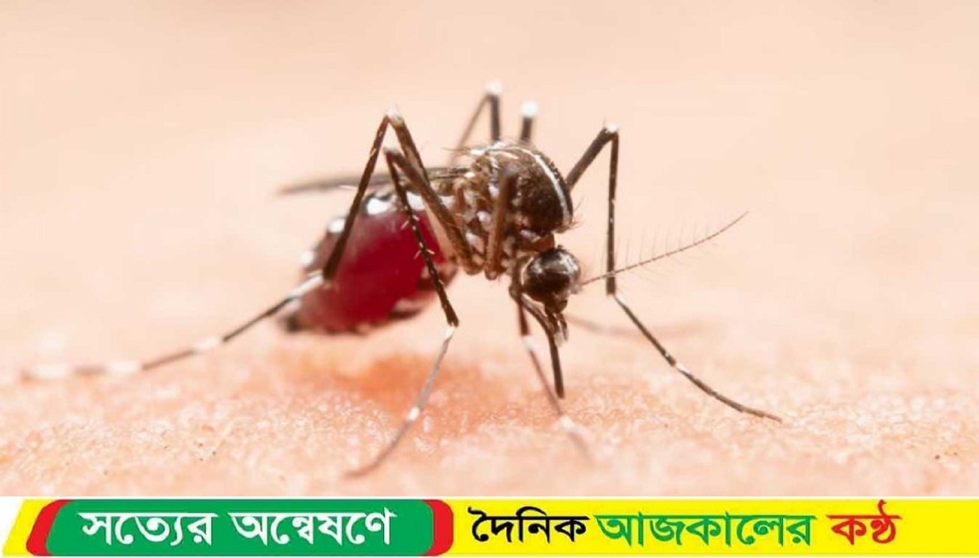ডেঙ্গুতে আরও একজনের মৃত্যু
