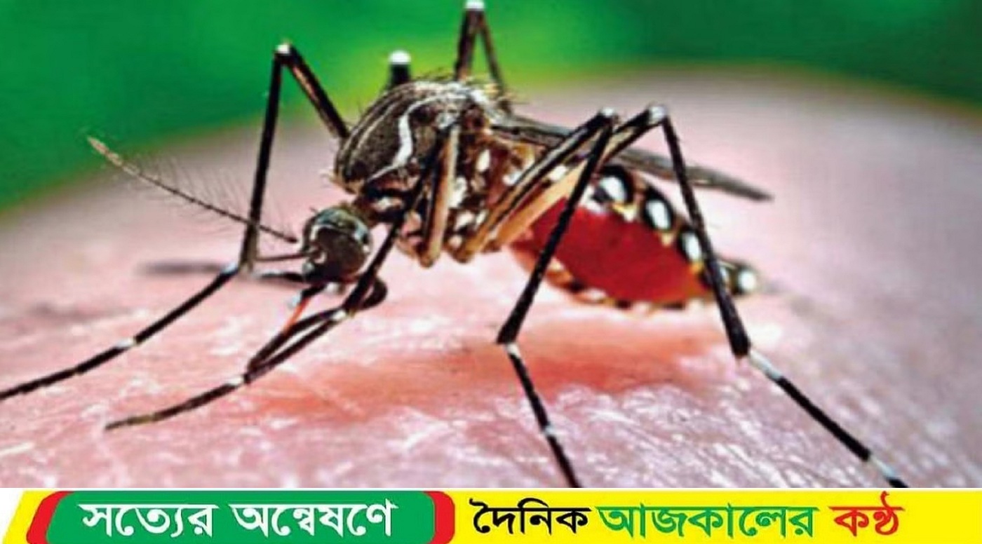 গত ২৪ ঘণ্টায় ডেঙ্গুতে ১ জনের মৃত্যু
