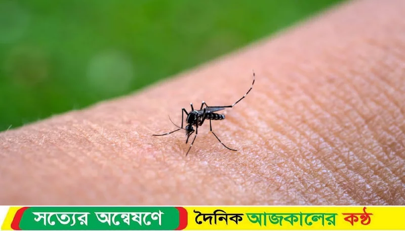 বিশ্বজুড়ে চিকুনগুনিয়ার প্রকোপ বৃদ্ধি, জরুরি পদক্ষেপের আহ্বান ডব্লিউএইচওর