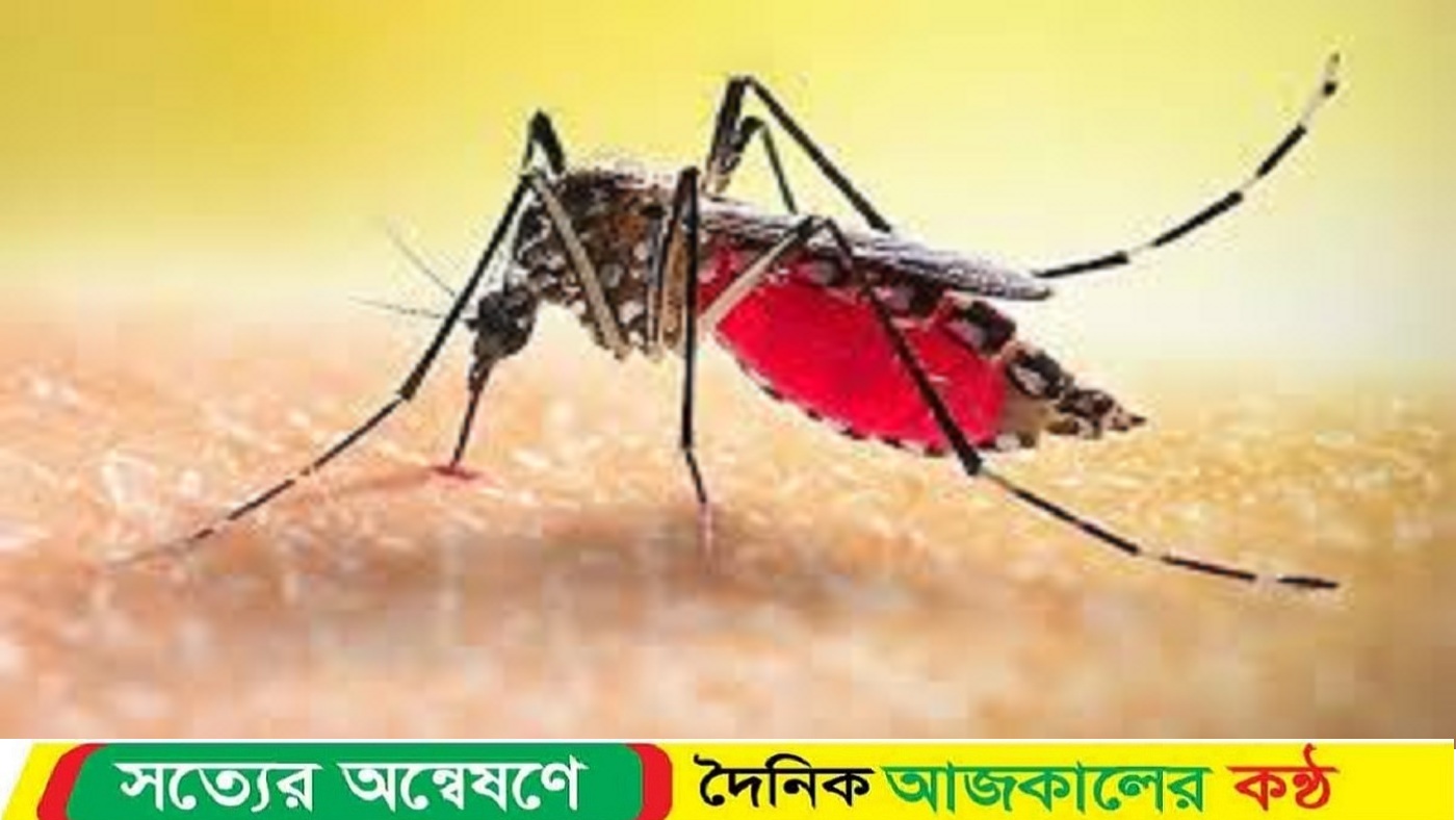 ডেঙ্গুতে আরও একদিনে দুইজনের মৃত্যু, ভর্তি ২৭৮