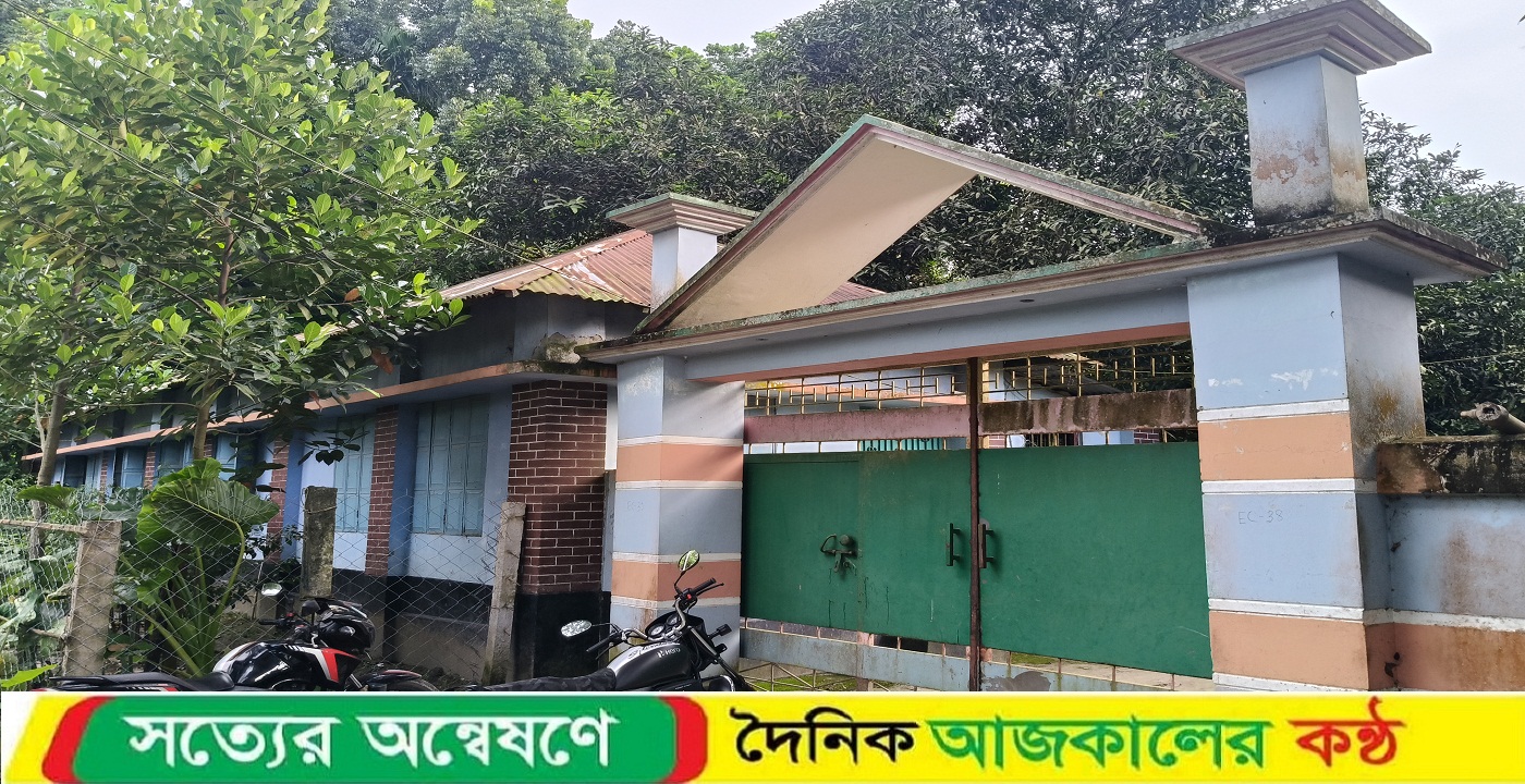 কালীগঞ্জে অচেতন করে যুবদল নেতার বাড়িতে চুরি