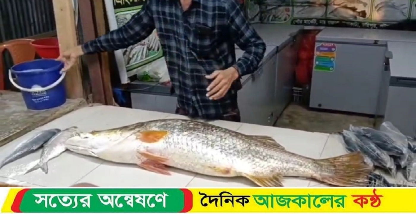 কুয়াকাটা উপকূলে জেলের জালে ধরা পড়লো ২২ কেজি ওজনের কোরাল মাছ