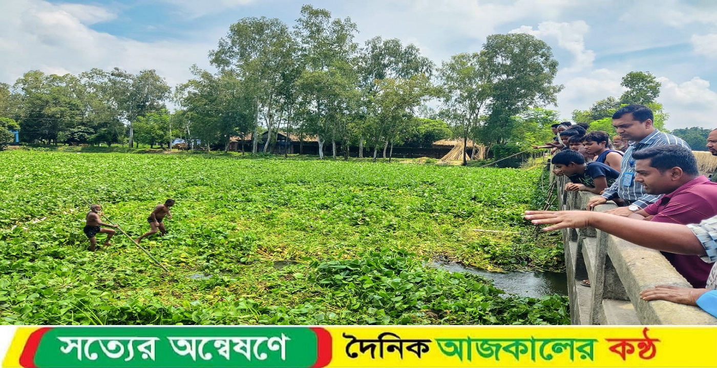 কচুরিপানার জট কাটল, স্বস্তি এলাকাবাসীর