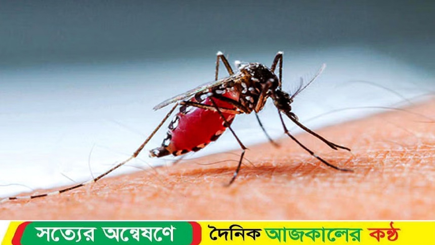 আরও ডেঙ্গুতে আক্রান্ত হয়ে হাসপাতালে ১৭৩ জন ভর্তি